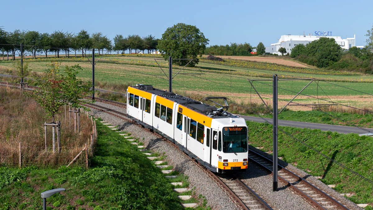 MVG 272 (Typ M8C) Marienborn Bahnhof, Mainz