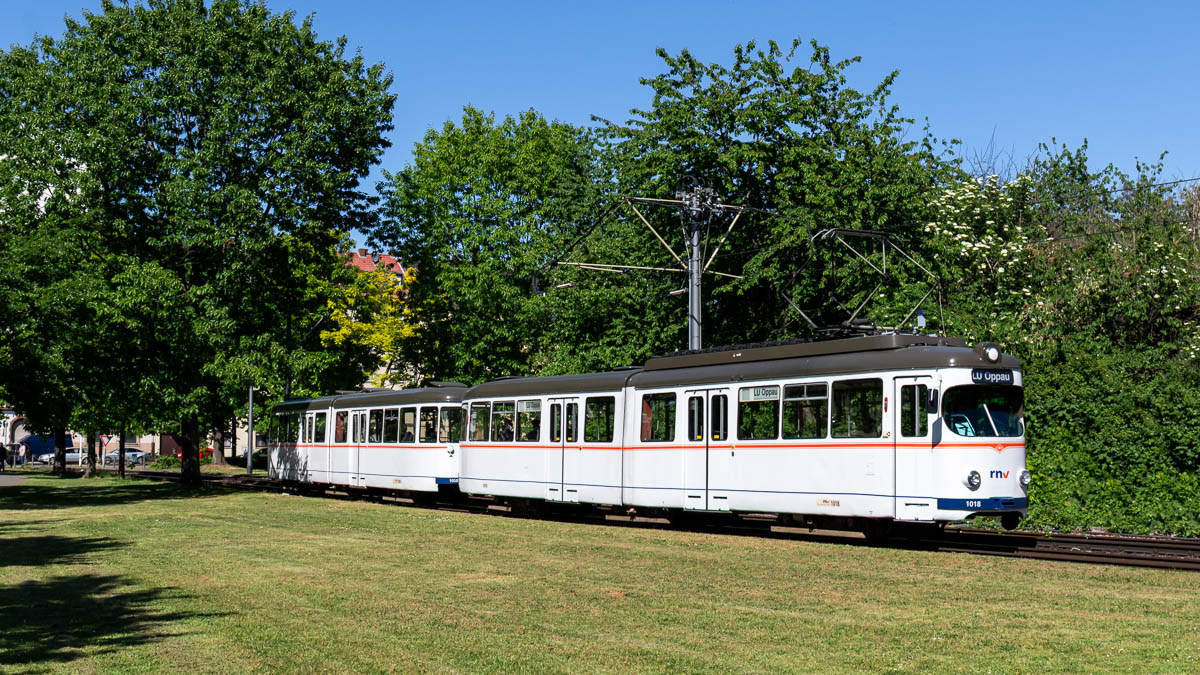 RNV 1018 (Typ ET6) Marienkirche, Ludwigshafen