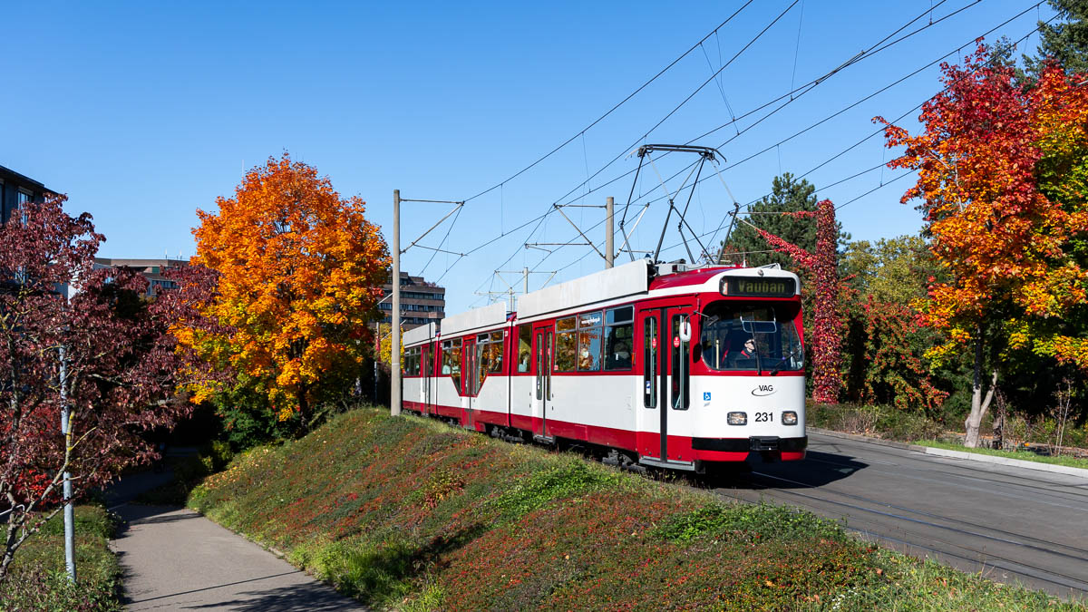 VAG 231 (Typ GT8N) Runzmattenweg, Freiburg i.Br.