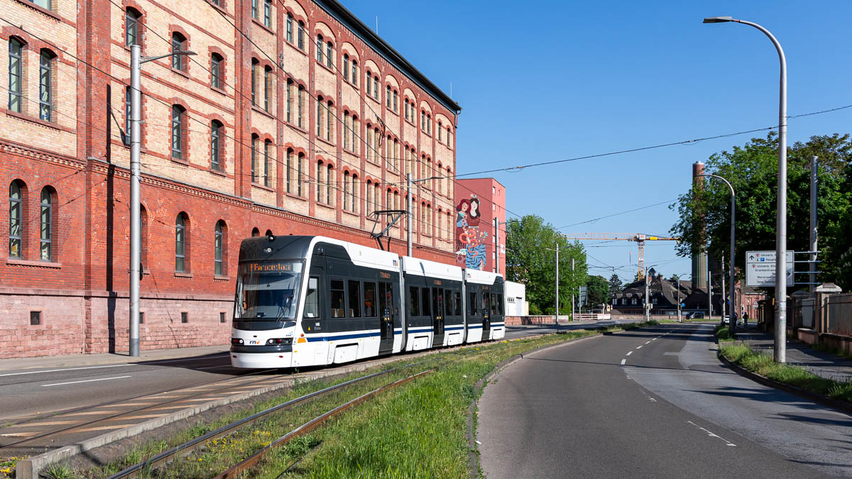 RNV 1405 (Typ 36T) Bibienastraße, Mannheim