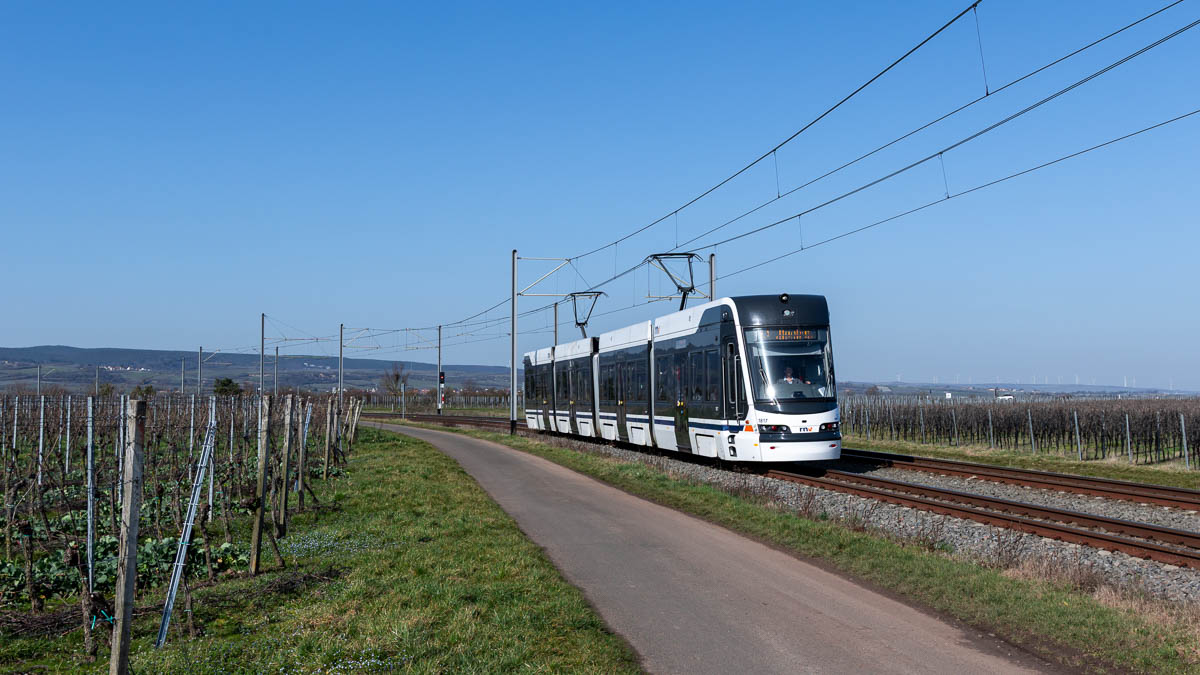 RNV 1817 (Typ 37T) Friedelsheim