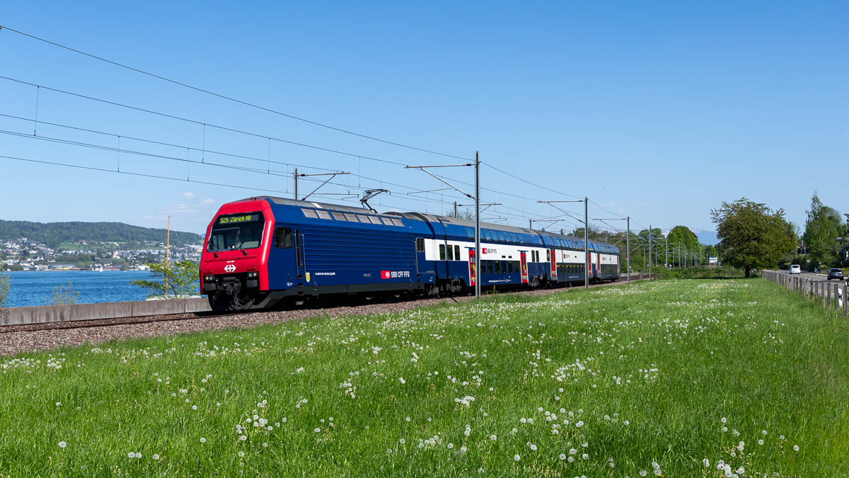 S-Bahn Zürich - SBB 450 105 in Horgen, Rietli (Schweiz)